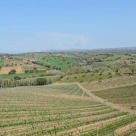 Country house Poggio Lungo *